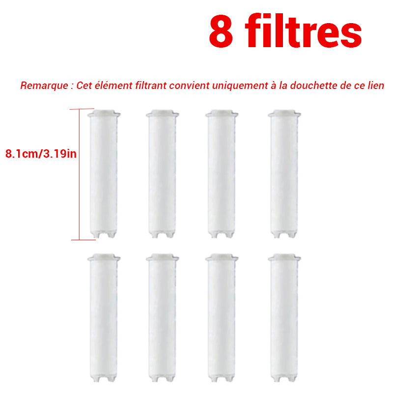 Pommeau de douche filtrant avec 5 modes