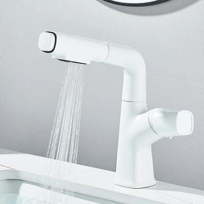 Mitigeur lavabo douchette