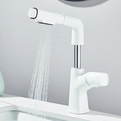 Mitigeur lavabo douchette