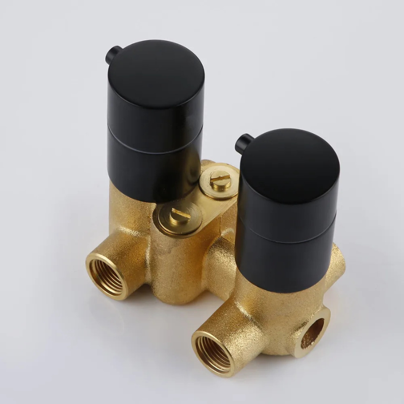 Colonne de douche avec mitigeur chic