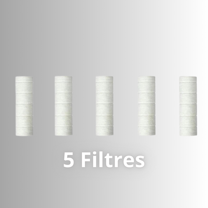 Pommeau de douche filtrant long