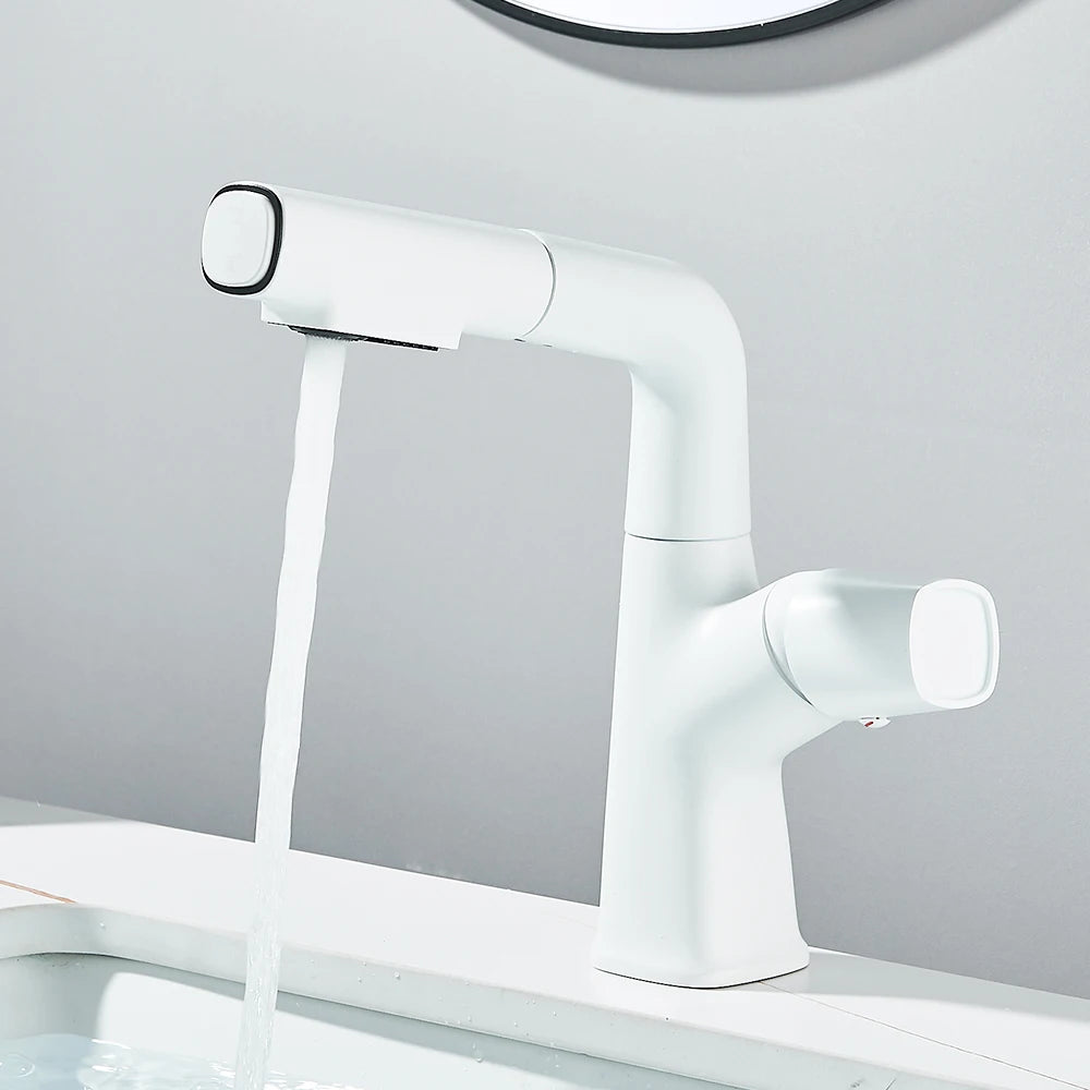 Mitigeur lavabo douchette