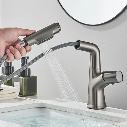 Mitigeur lavabo douchette