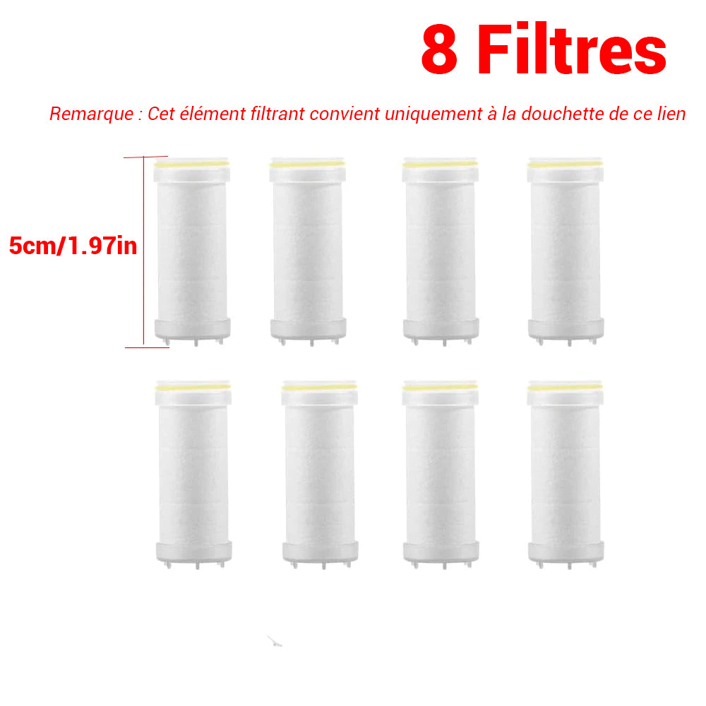 Pommeau de douche filtrant avec boutons