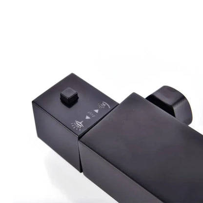 Colonne de douche en inox double pommeau - Noir