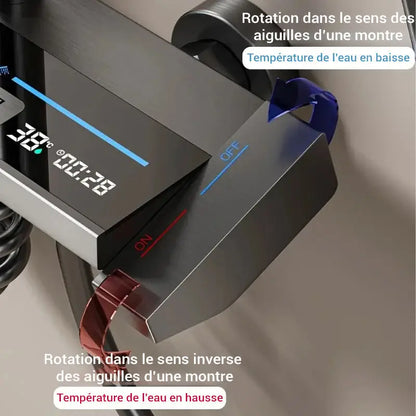 Colonne de douche thermostatique 2 jets